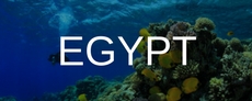 Scuba transfers in Egypt